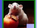 Joc Puzzle: Apple and Mouse