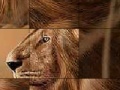 Joc Big brave lion slide puzzle