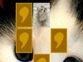 Joc Cute cat memory