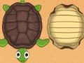 Joc Guess the turtle
