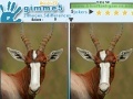 Joc Gimme 5 Wildlife
