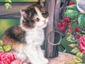 Joc Hidden Numbers Cat