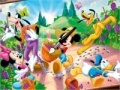Joc Mickey Garden