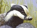 Joc Three polecat puzzle
