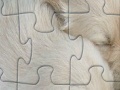 Joc Puppies jigsaw