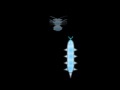 Joc Cyber Worm 