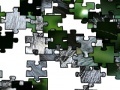 Joc Jigsaw: Pallas Cat