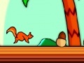 Joc Squirrel squash 2