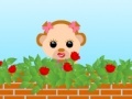 Joc My Love Rose