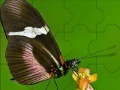 Joc Fantastic butterfly puzzle