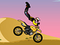 Joc Acrobatic Rider