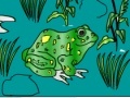 Joc Frog Coloring