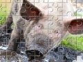 Joc Little Piggy Jigsaw