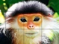 Joc Elderly monkey slide puzzle