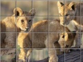 Joc Swing and set african cats