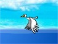 Joc Bird Migration