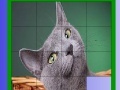 Joc Grizzle cat slide puzzle