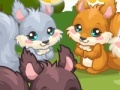 Joc Squirrel Care