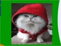 Joc Hooded cat slide puzzle