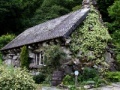 Joc Puzzles: Cottage