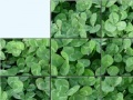 Joc Clovers Slider