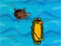 Joc Turtle crossing