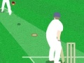 Joc World Cricket Challenge
