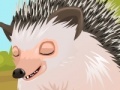 Joc Cute hedgehog care