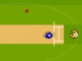 Joc Cricket World Cup 2011