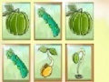 Joc Fruit Match