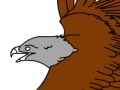 Joc Birds Coloring Book