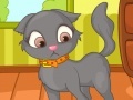 Joc Kitty to Be