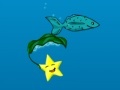 Joc Star Fish