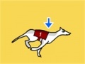 Joc Greyhound Racer DX