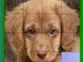 Joc Blue eyed dog slide puzzle