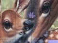 Joc Deers and Lovely Day Slide Puzzle