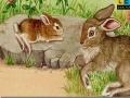 Joc Rabbits at the farm puzzle 