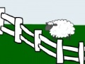 Joc Sheep