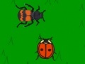 Joc The lady bug