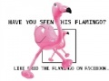 Joc Flamingo
