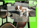 Joc Pretty Puppies Puzzles