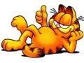 jocuri Garfield 