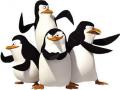 Pinguini jocuri de Madagascar 