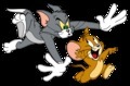 Jocuri Tom si Jerry 