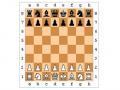 Jocuri de șah 