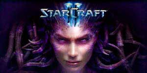 StarCraft 2: Heart of the Swarm 